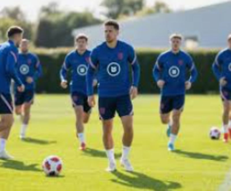 手机上看更清晰 案例展示页面